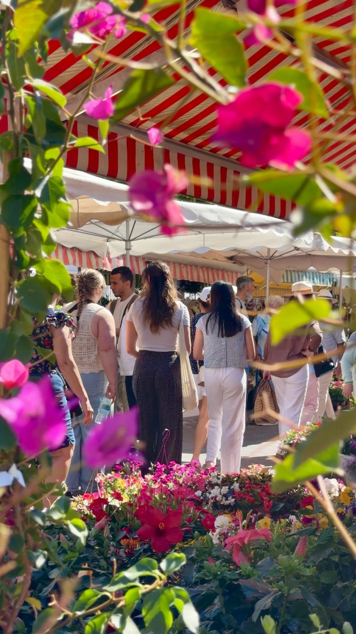 Marché aux Fleurs - Cours Saleya