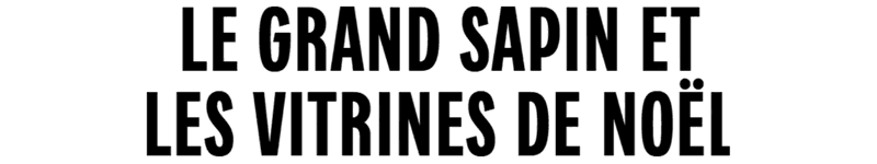 Le Grand Sapin et les vitrines de Noël