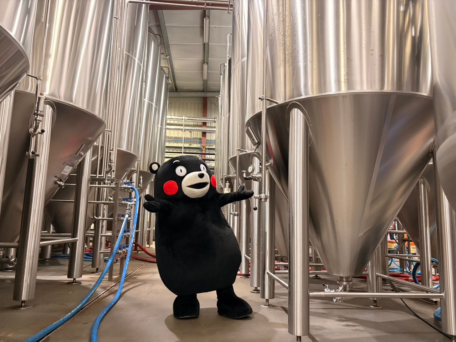  ビール醸造所を見学するくまモン